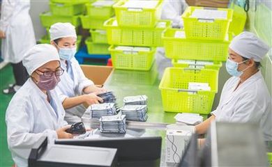 定安縣"專精特新"企業生產忙